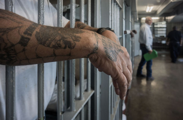 A person's hands and arms, which are covered in tattoos, can be seen having through the bars of a prison cell.