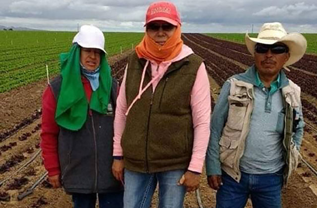 Farm workers. Three Latinx people standing in a field wearing hats and vests.