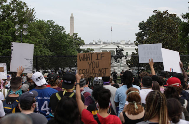 The backs of the heads of protestors holding signs in Lafayette Square, in front of the White House.