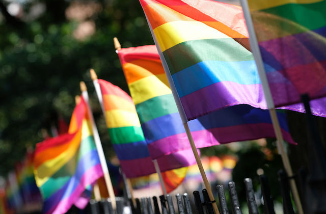 An outdoor image of four LGBTQ pride flags lined up in a row