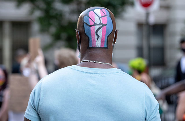 Black Trans Lives. Black man with bald head wearing blue shirt has Trans Pride flag colors painted onto back of head in the shape of a fist.