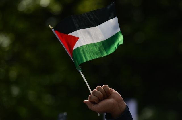 Large Crowds Attend Palestine Solidarity Protest In Dublin
