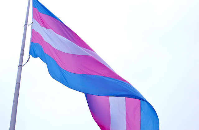 Trans flag. White, pink and blue flag waves in the breeze.