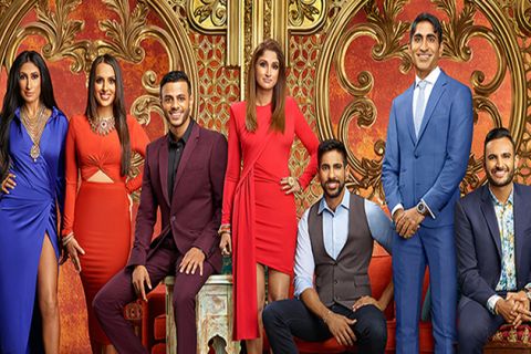 Family Karma cast. Seven Indian Americans wearing dresses and suits in front of an elaborate background.