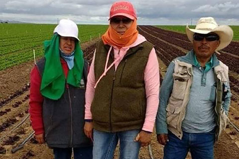 Farm workers. Three Latinx people standing in a field wearing hats and vests.