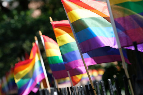 An outdoor image of four LGBTQ pride flags lined up in a row