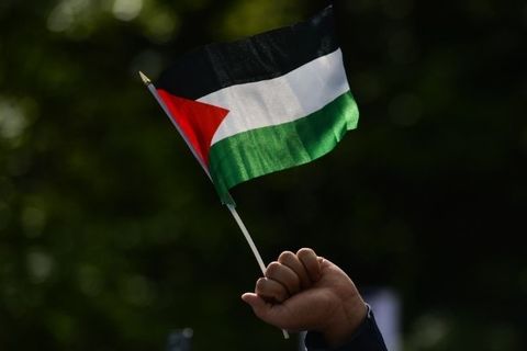Large Crowds Attend Palestine Solidarity Protest In Dublin