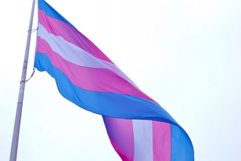 Trans flag. White, pink and blue flag waves in the breeze.