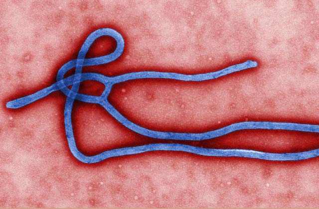 Jersey School District Apologizes for Elementary School Ebola Panic