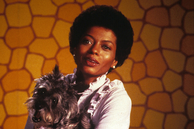 ‘The Wiz’ Makes Its Way Back to TV and Broadway
