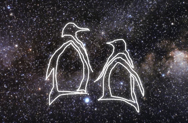 This Animated Video Explains What Social Movements Can Learn From Penguins