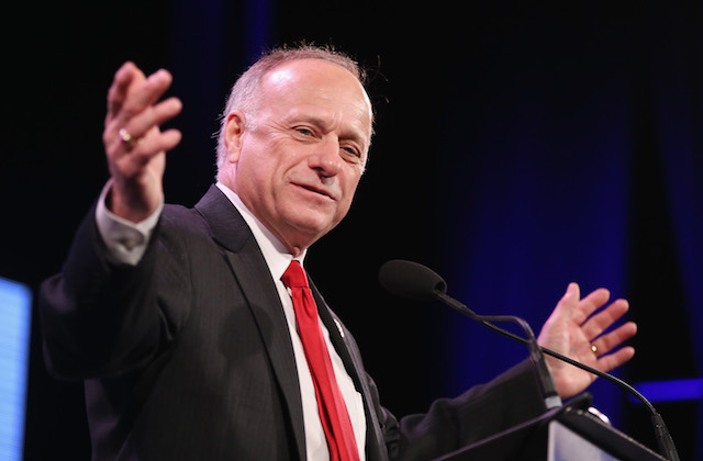 Rep. Steve King Says No Other ‘Subgroup’ Did More for Civilization Than Whites