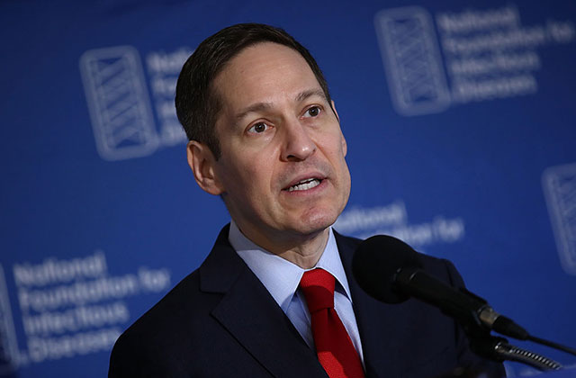 CDC Director Says Zika Virus ‘Will Become Endemic’