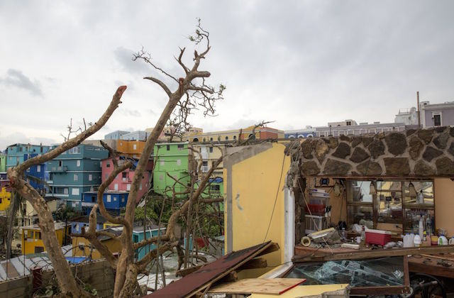 Advocates, Officials Outraged at Puerto Rico’s Hurricane Maria Death Count
