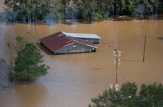 READ: Black Homeowners in the Gullah-Geechee Islands Could Lose Land After Florence