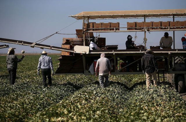READ: California Water Crisis Hits Latinx Farmworkers
