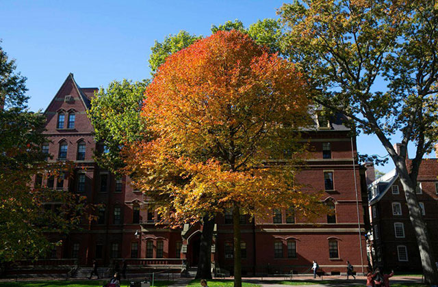 Widespread Protests Over Harvard’s Tenure Decision for Latinx Professor